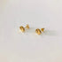 Aretes Conchitas Aretes Gold  Muun Jewelry